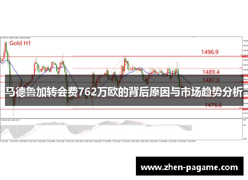 马德鲁加转会费762万欧的背后原因与市场趋势分析