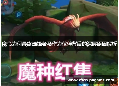 魔鸟为何最终选择老马作为伙伴背后的深层原因解析 魔鸟为何最终选择老马作为伙伴背后的深层原因解析